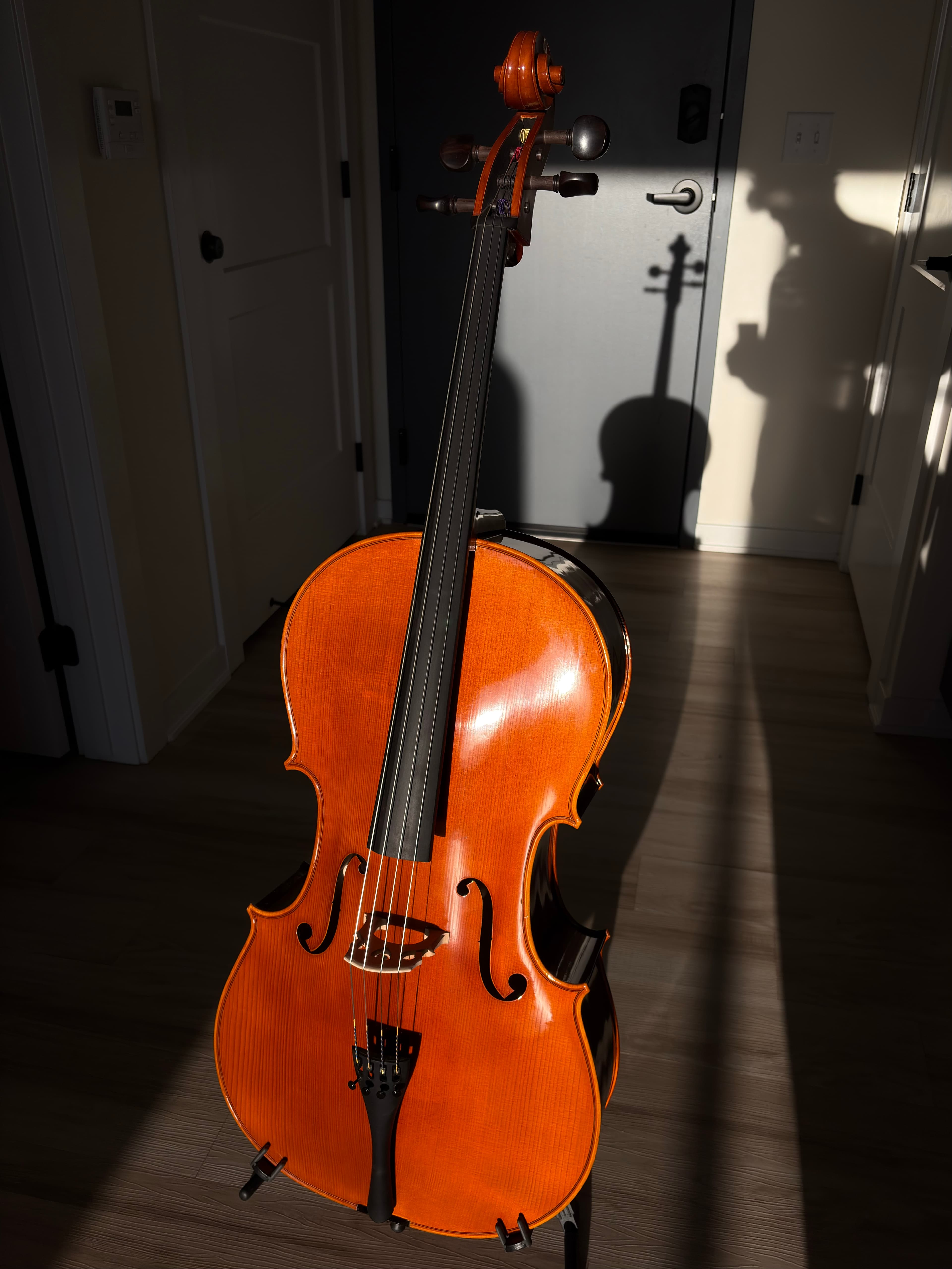 Front view of cello