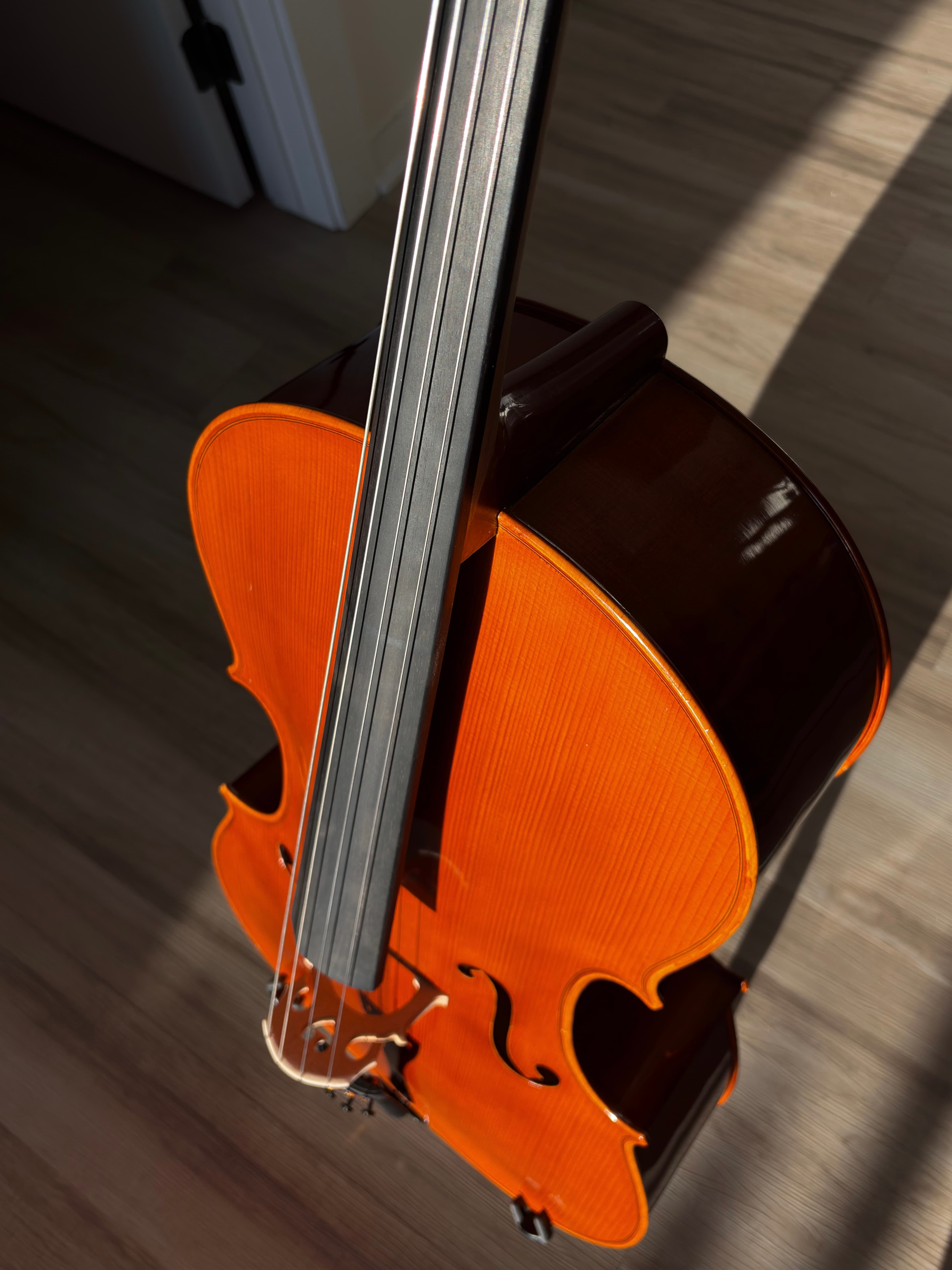 Front view of cello from above