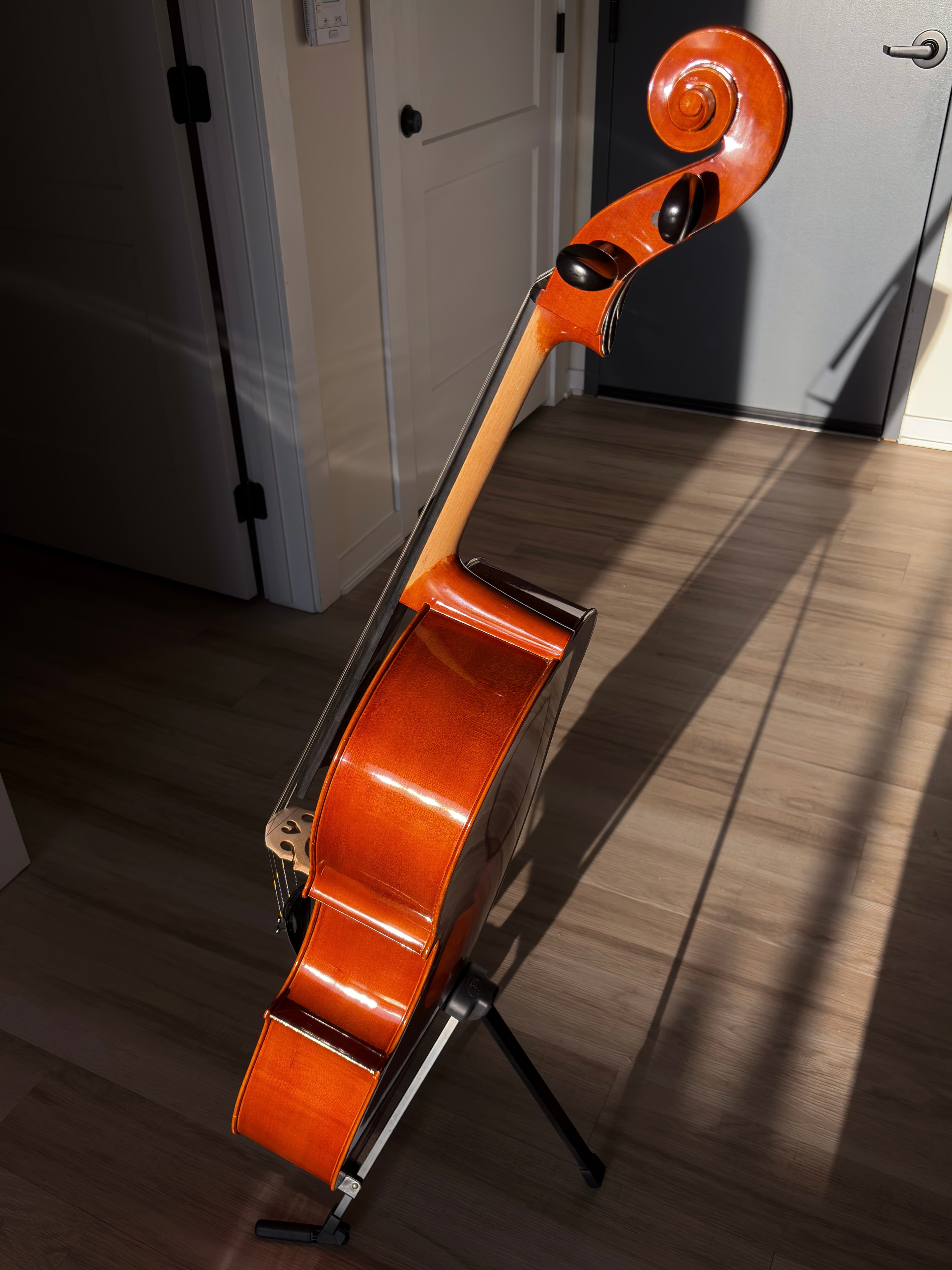 Side view of cello