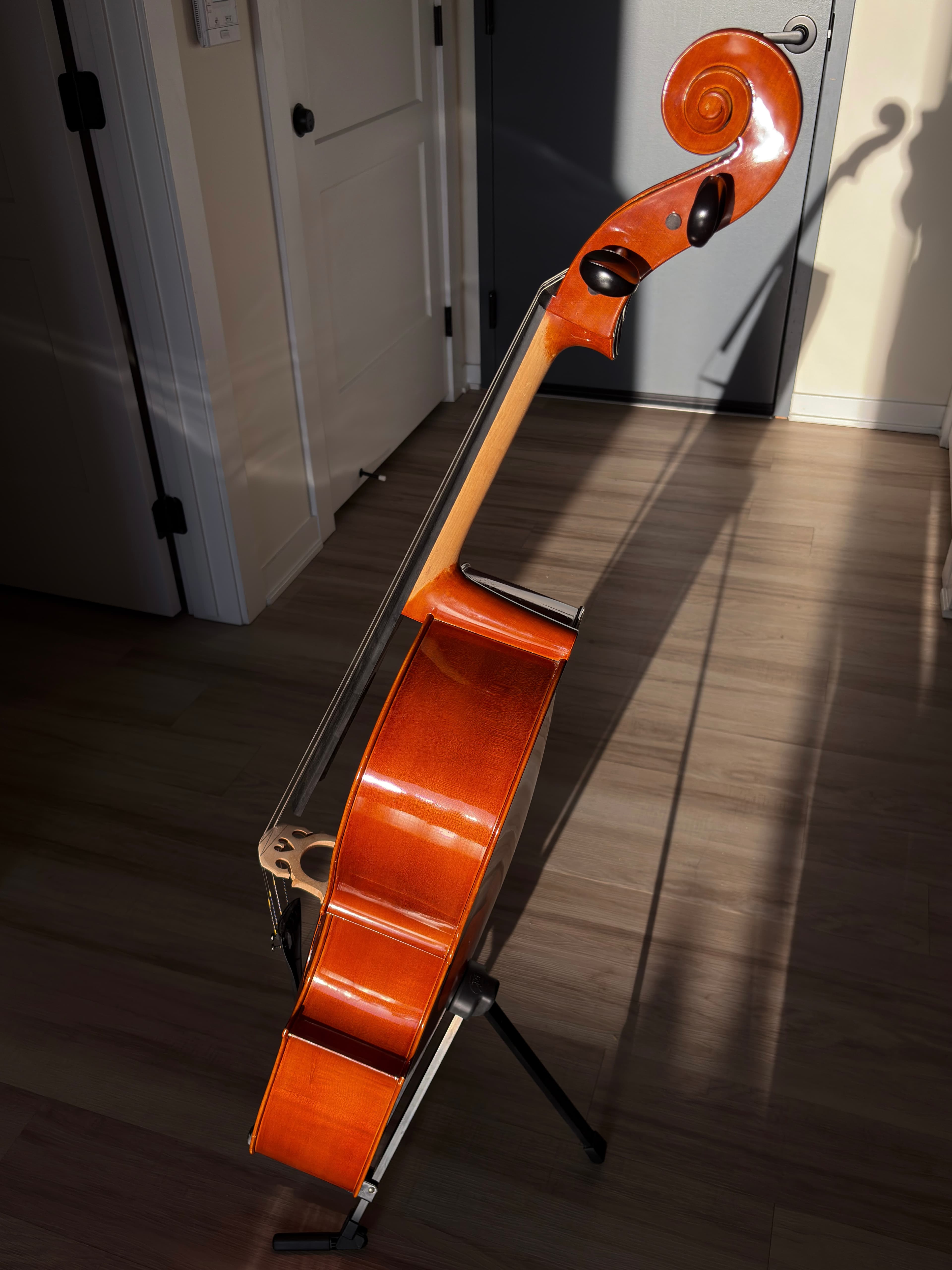 Side view of cello