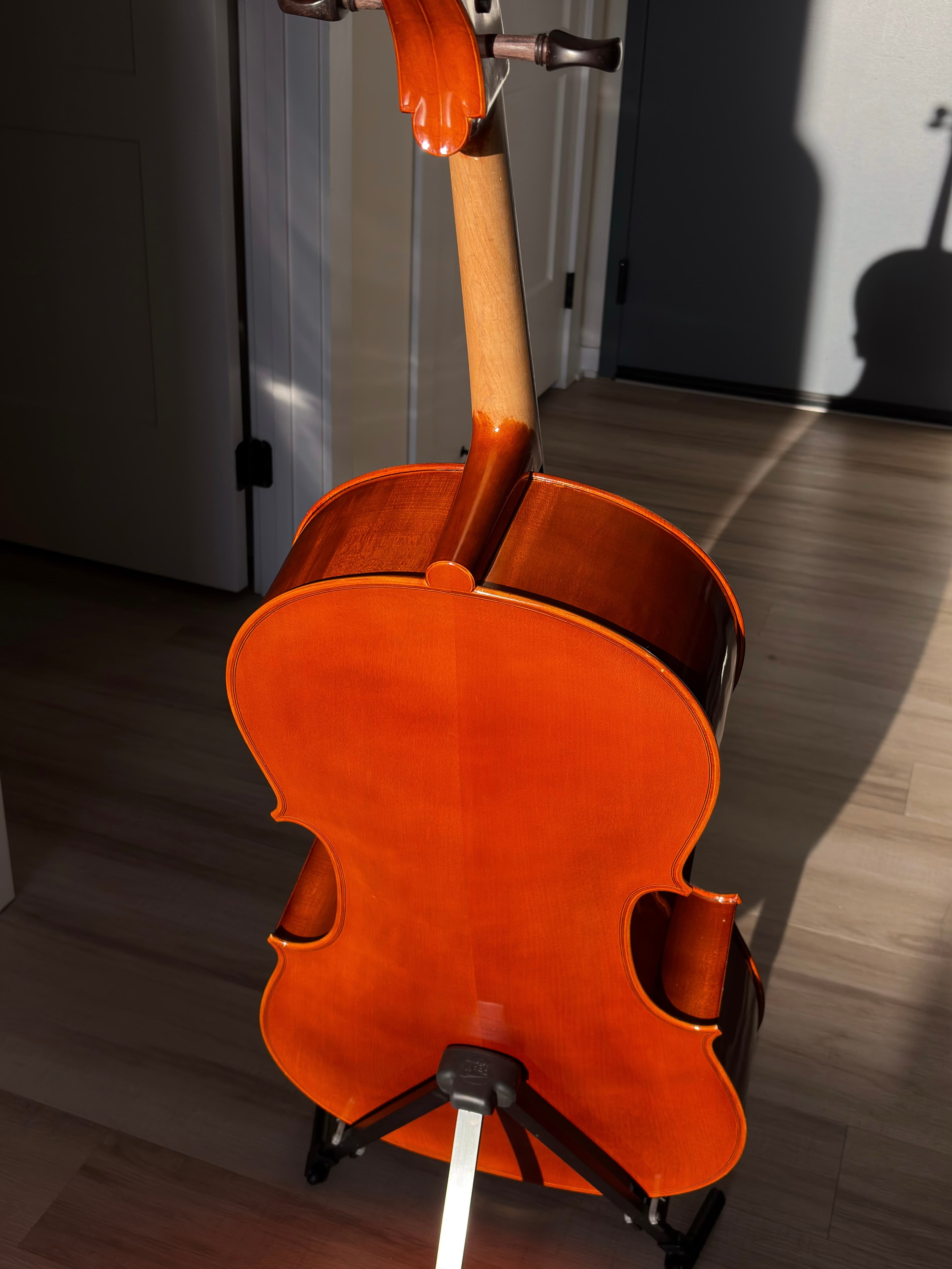 Back view of cello