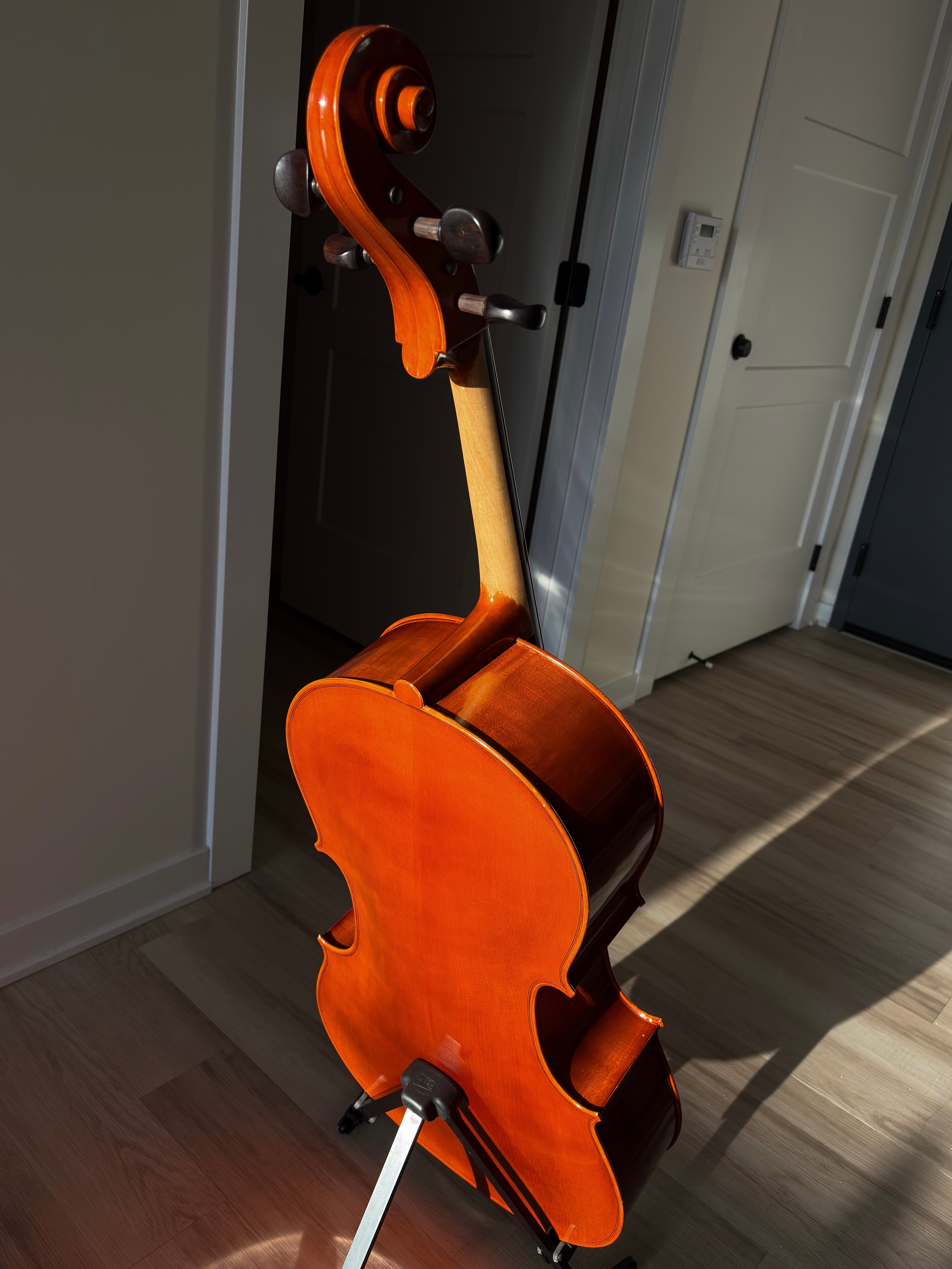 Back view of cello