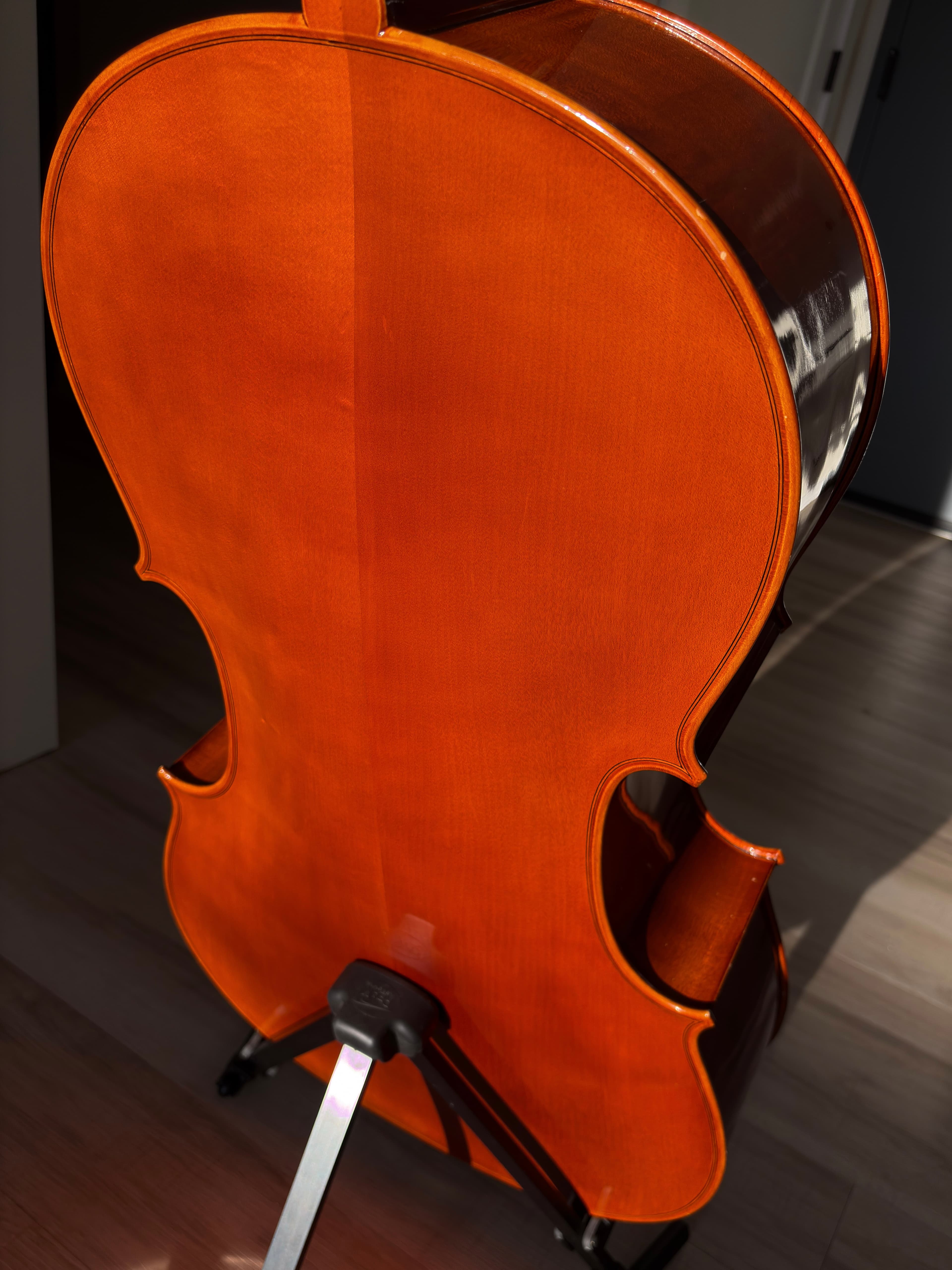 Back of the cello