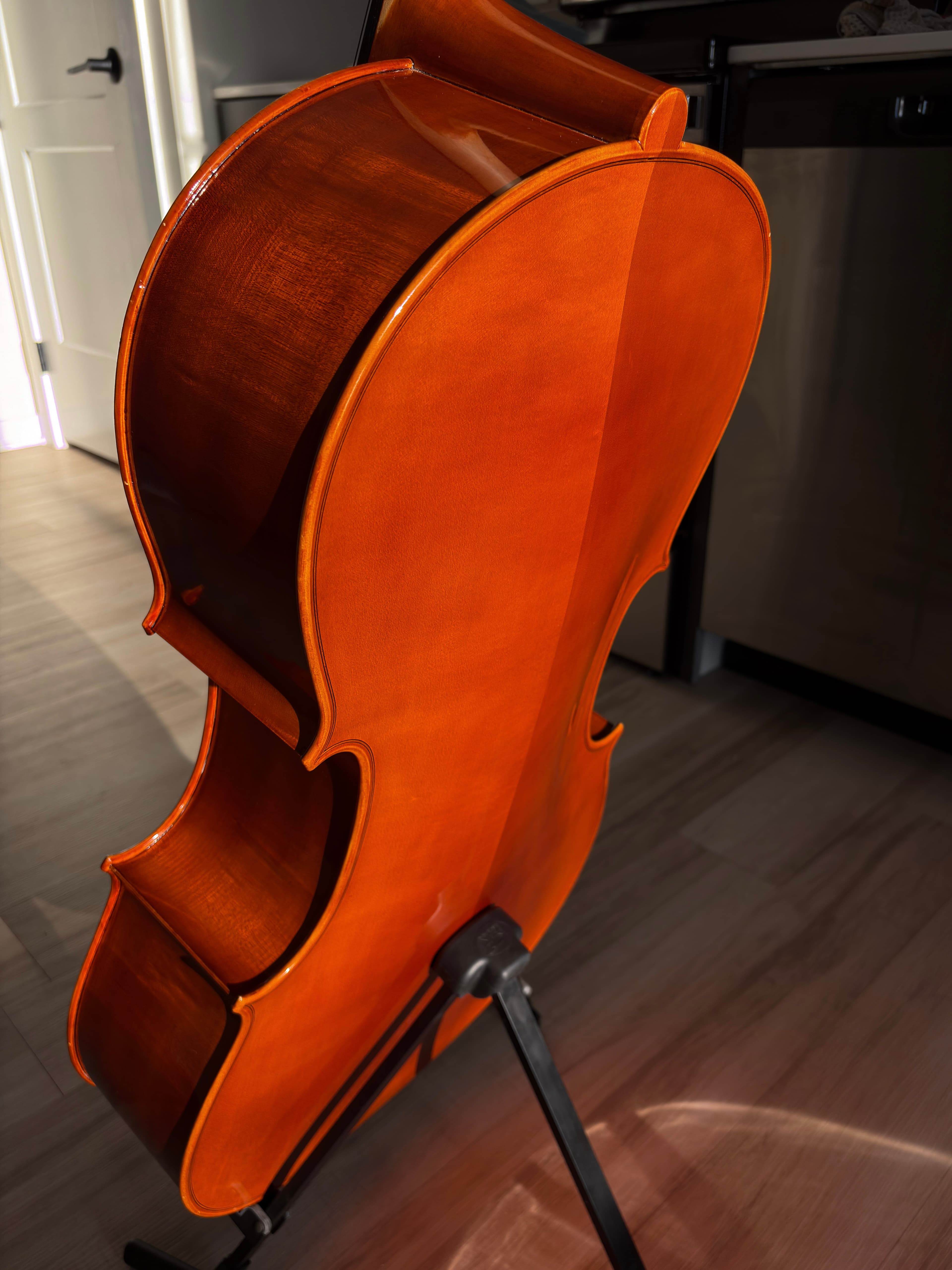 Back of the cello