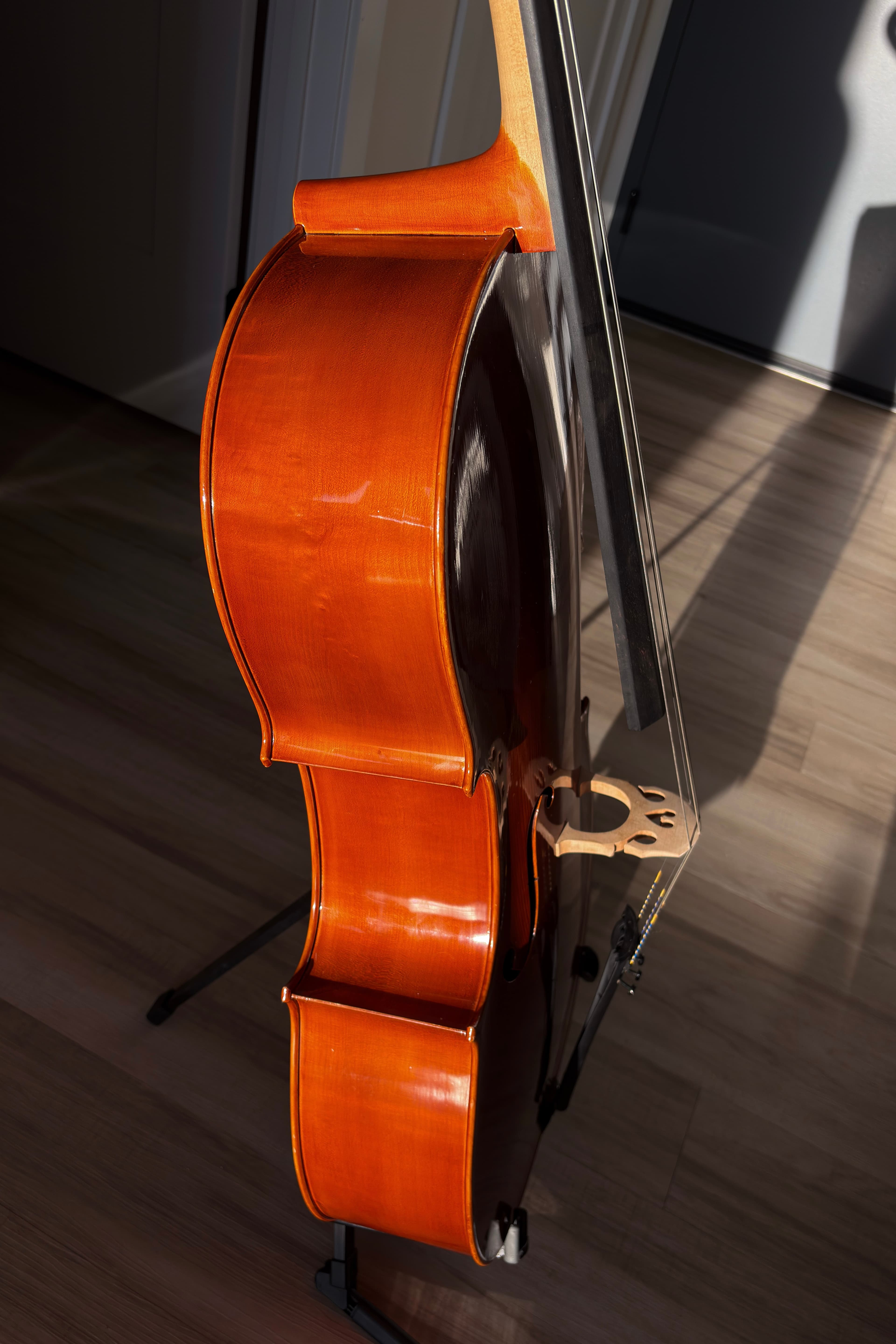 Side view of cello