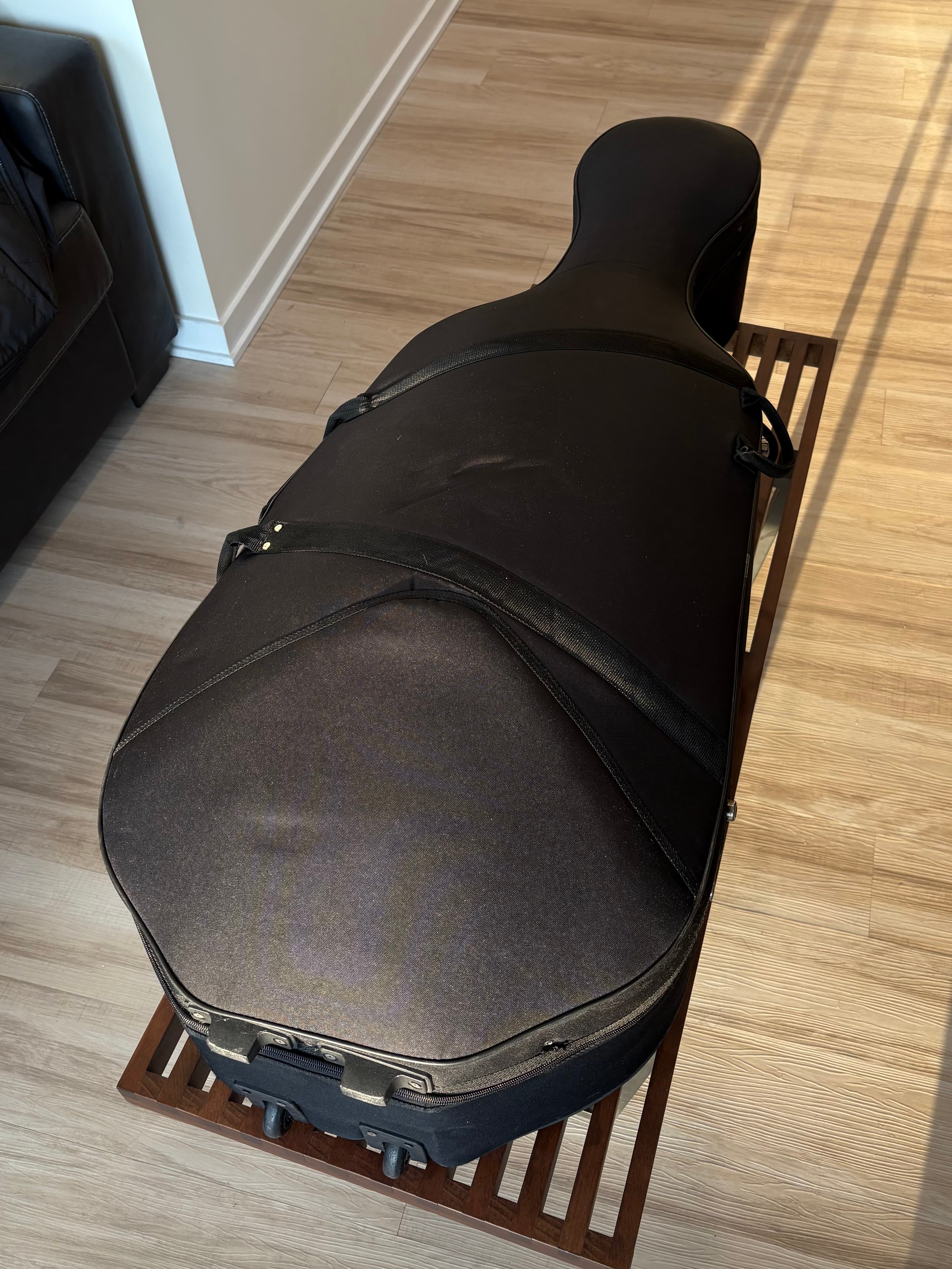 Cello case