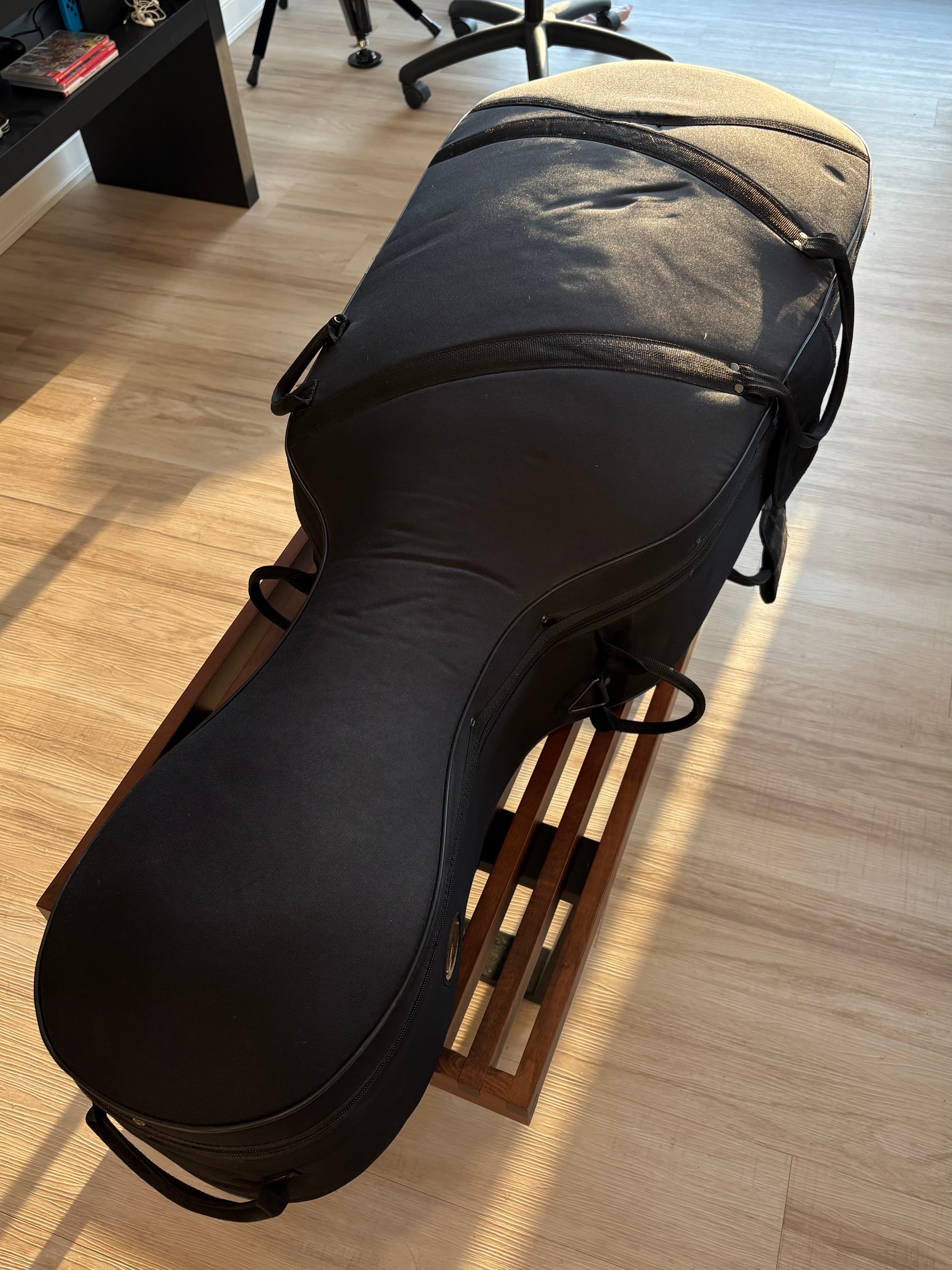 Cello case