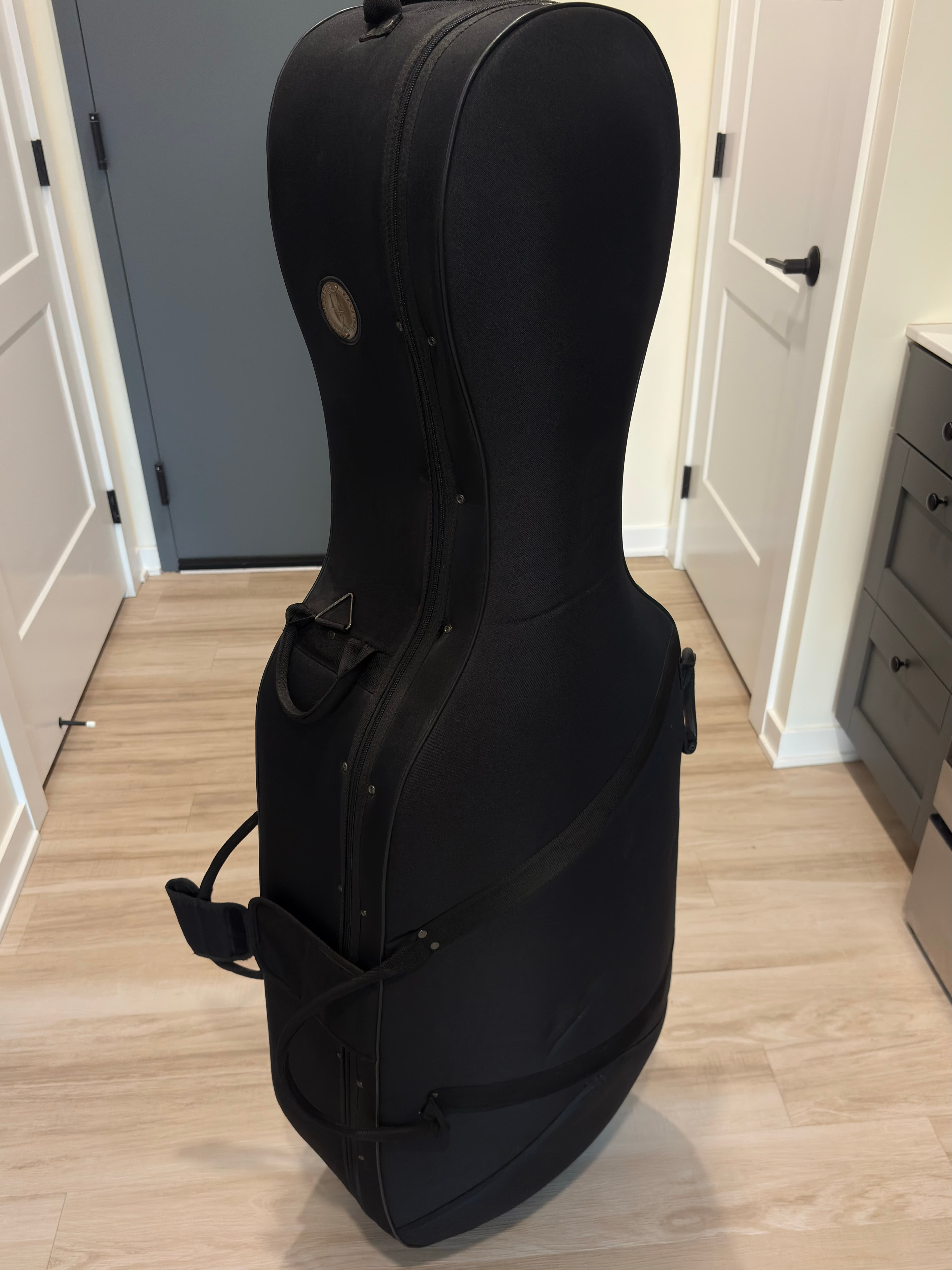Cello case