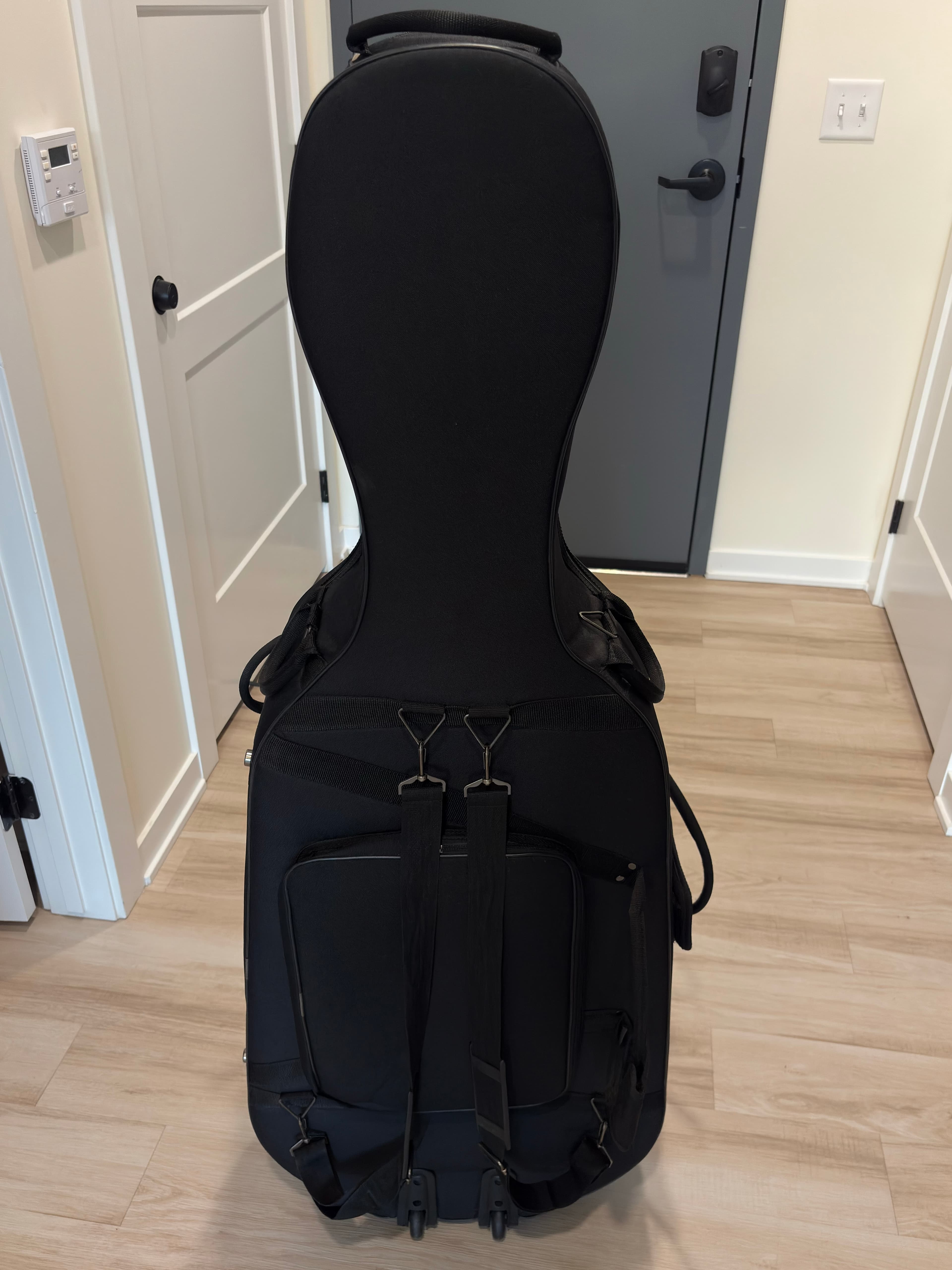 Cello case